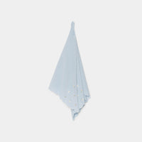 Embroidered Scarf