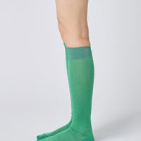 Lurex Sheer Knee High Socks
