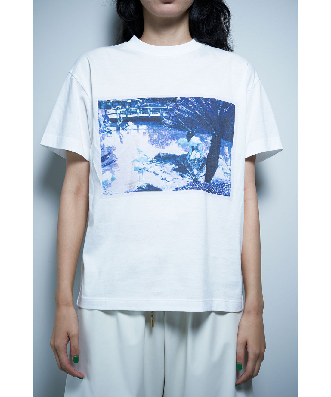 Organic Cotton T-shirt W/print