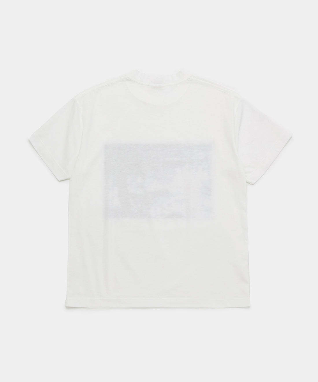 Organic Cotton T-shirt W/print