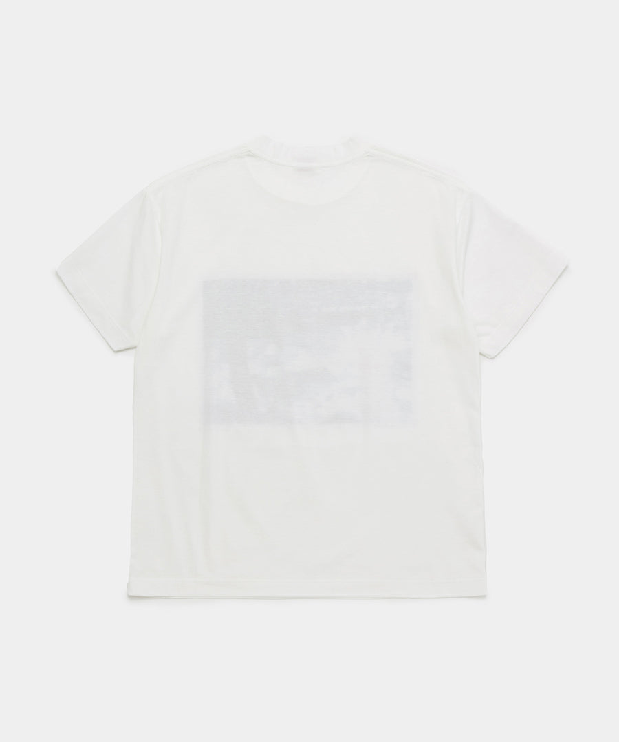 Organic Cotton T-shirt W/print