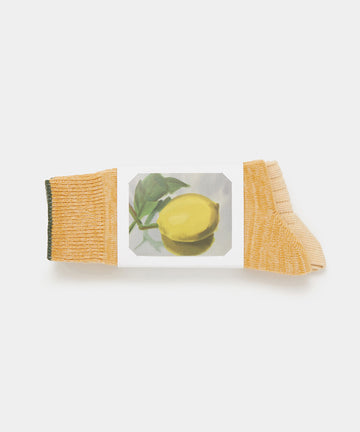 Botanical Dyed Organic Cotton Socks[MENS]